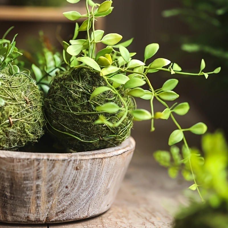 Artificial Moss Ball Planter,  - Sphagnum Moss Dry review and price