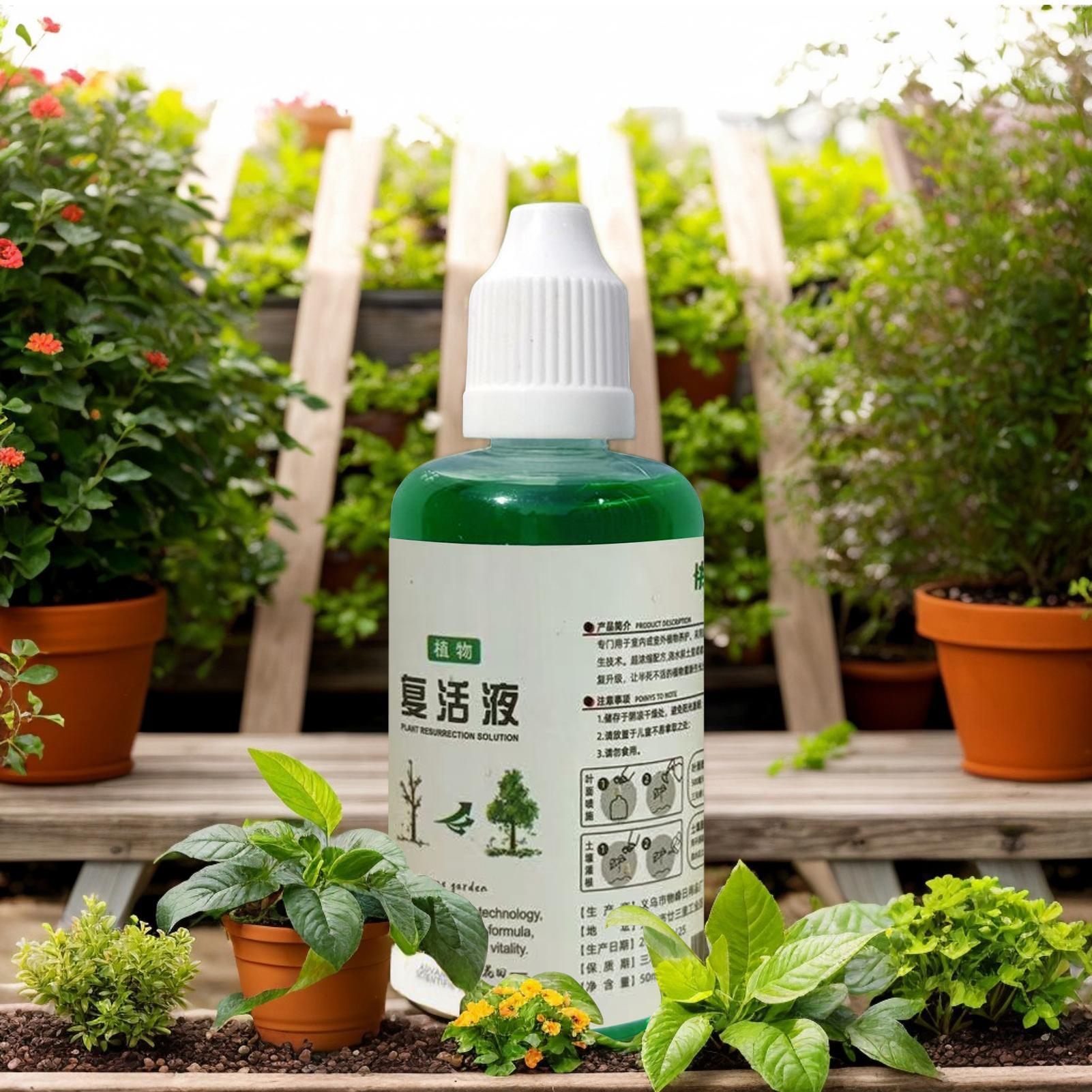 Root Stimulator for Plants Roo - Root Stimulator Liquid review and price
