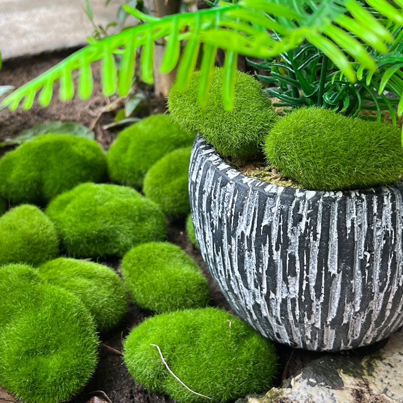 100/5PCS Artificial Moss Rock  - Sphagnum Moss Dry review and price