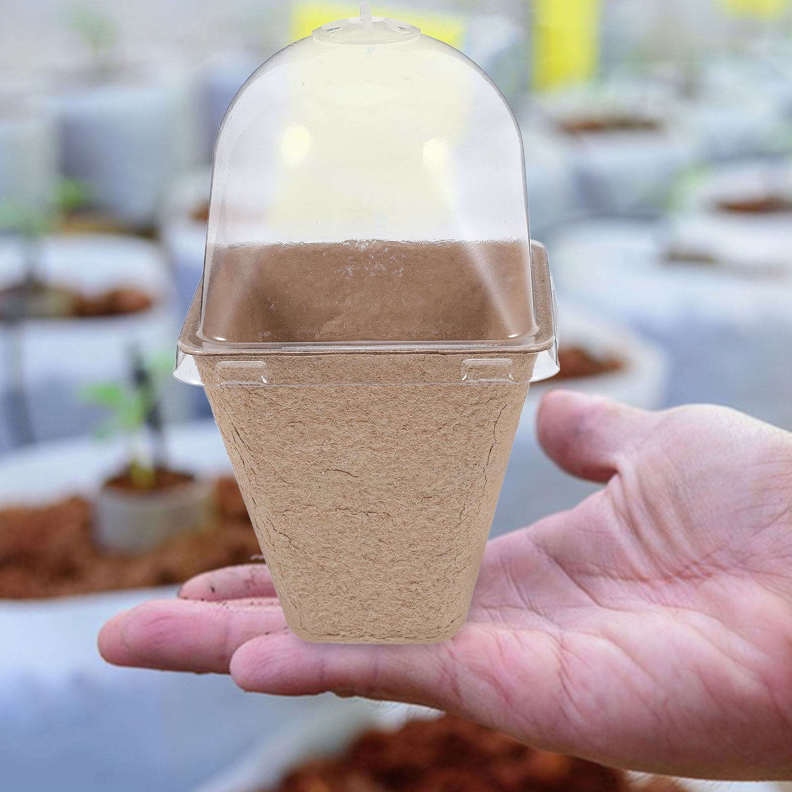 10Pcs Biodegradable Seedling S - Humidity Dome Kit review and price