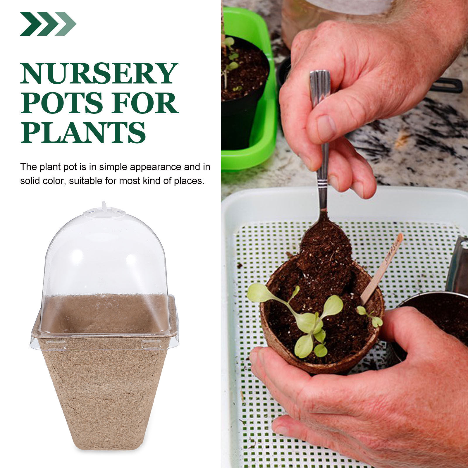 10Pcs Biodegradable Seedling S - Humidity Dome Kit review and price
