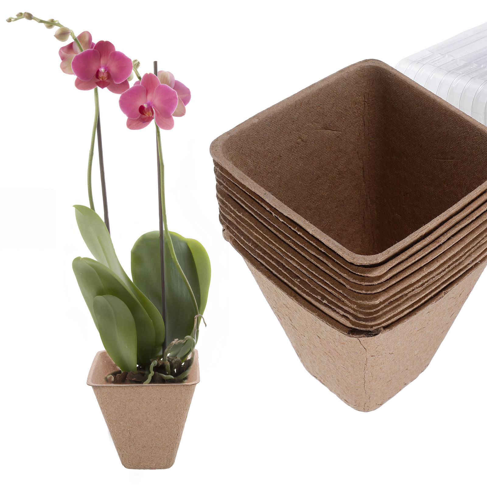 10Pcs Biodegradable Seedling S - Humidity Dome Kit review and price