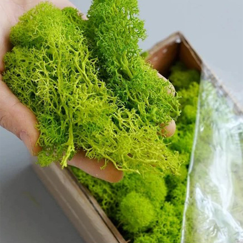 Artificial Green Plants Eterna - Sphagnum Moss Dry review and price